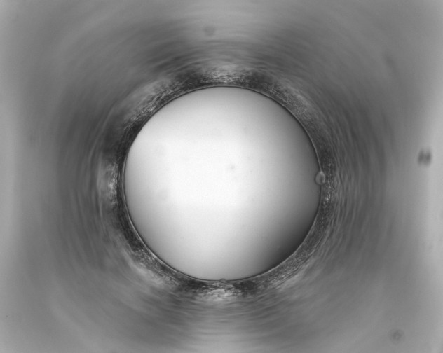 X0000093580646200710291102