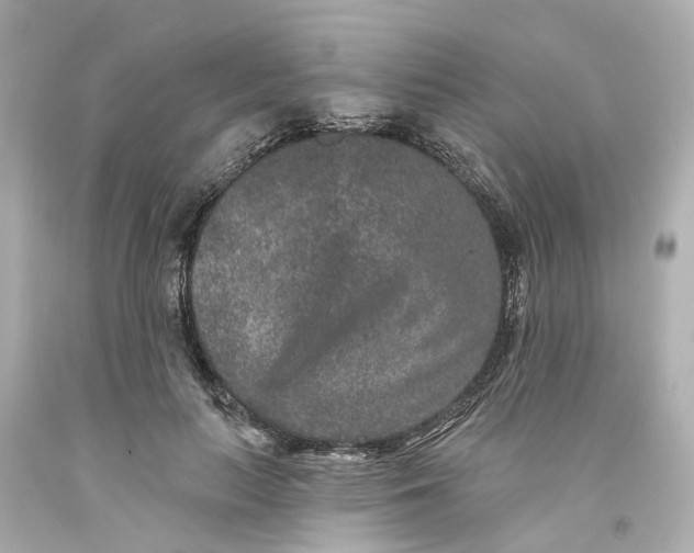 X0000093580647200710291102