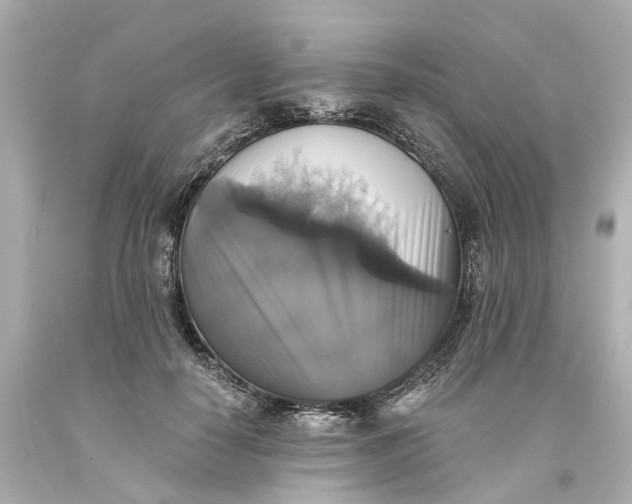 X0000093580650200710291102