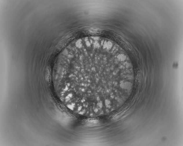 X0000093580651200710291102