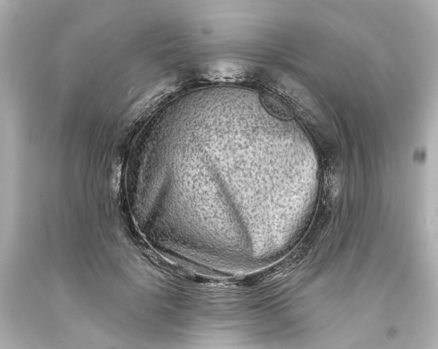 X0000093580652200710291102