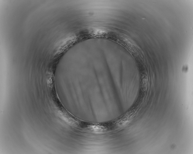 X0000093580654200710291102