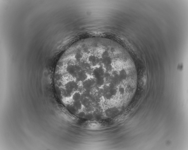 X0000093580658200710291102