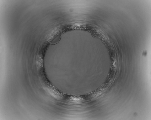 X0000093580659200710291102