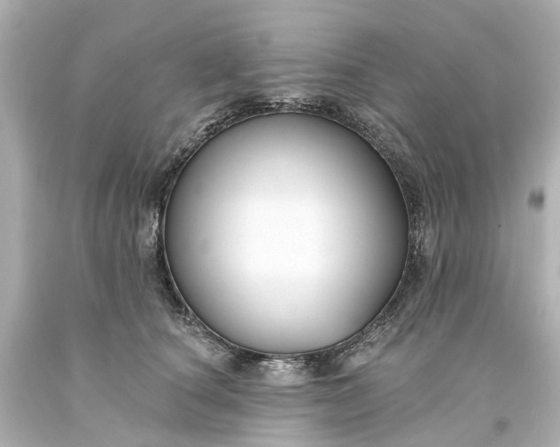 X0000093580660200710291102