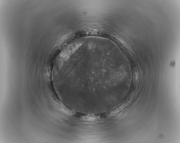 X0000093580661200710291102