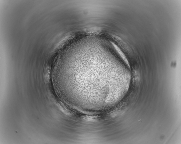 X0000093580664200710291102