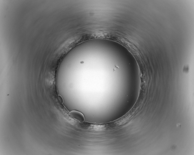 X0000093580665200710291102