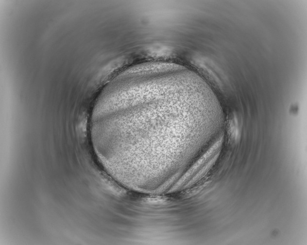 X0000093580668200710291102