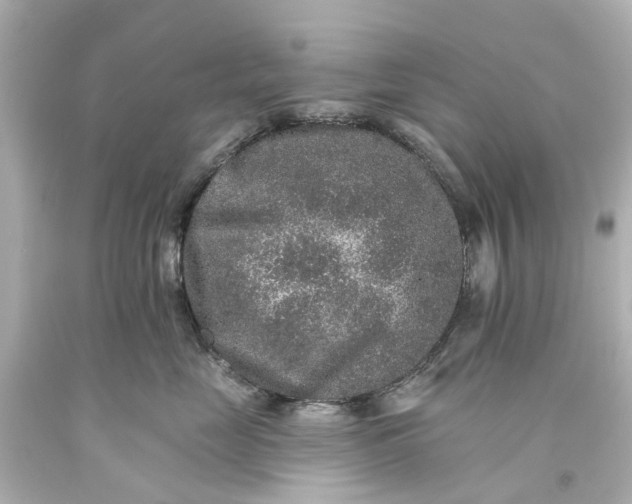 X0000093580669200710291102