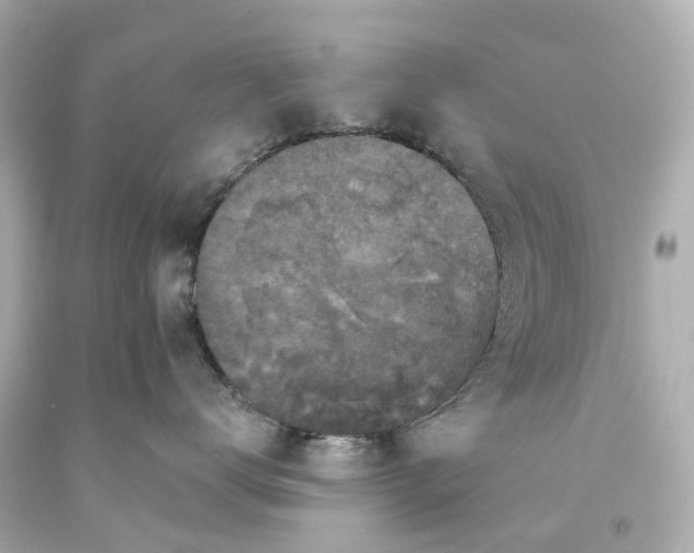 X0000093580672200710291102