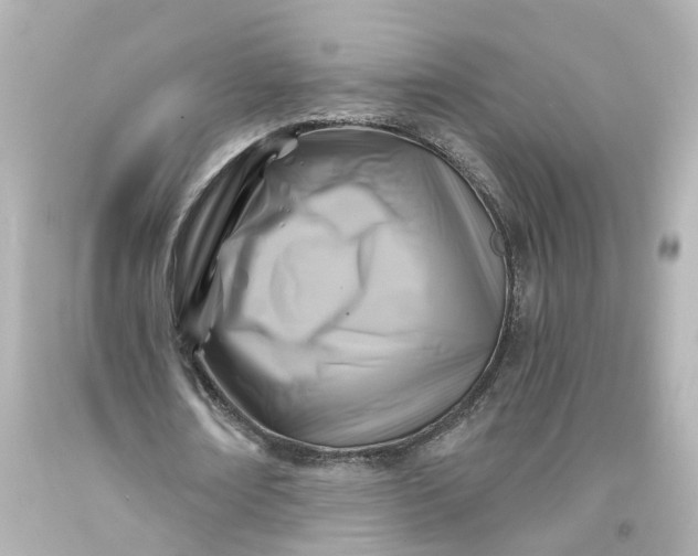 X0000093580674200710291102