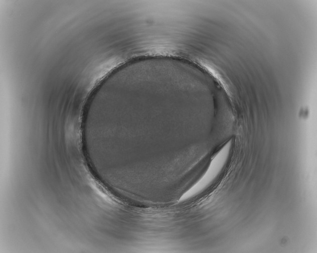 X0000093580677200710291102