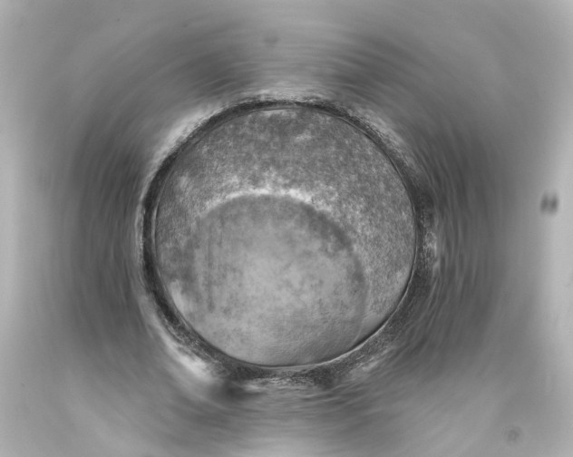 X0000093580678200710291102