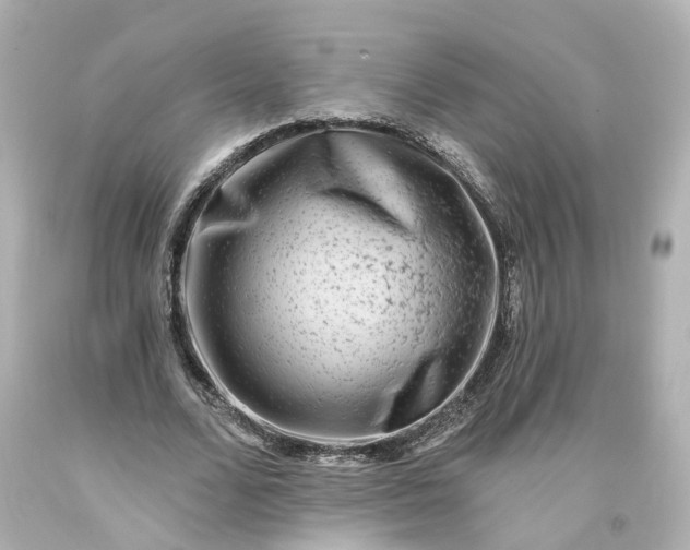 X0000093580680200710291102