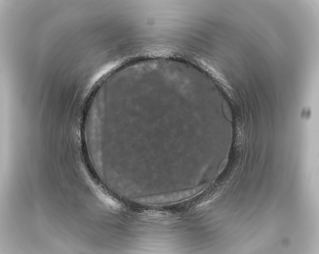 X0000093580681200710291102