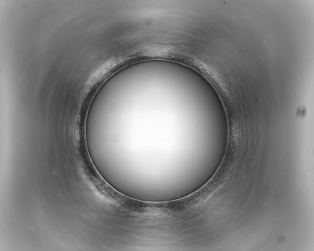 X0000093580682200710291102