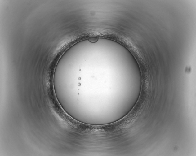 X0000093580683200710291102