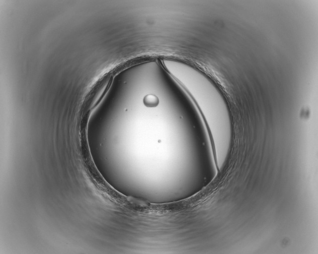 X0000093580684200710291102