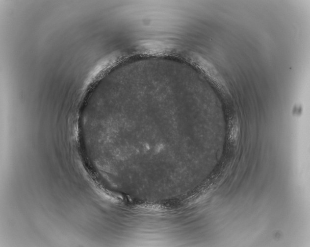 X0000093580685200710291102