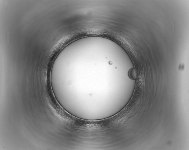 X0000093580686200710291102