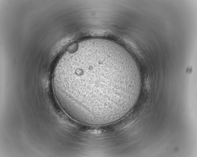 X0000093580687200710291102