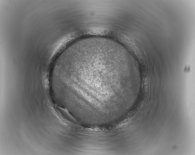 X0000093580688200710291102