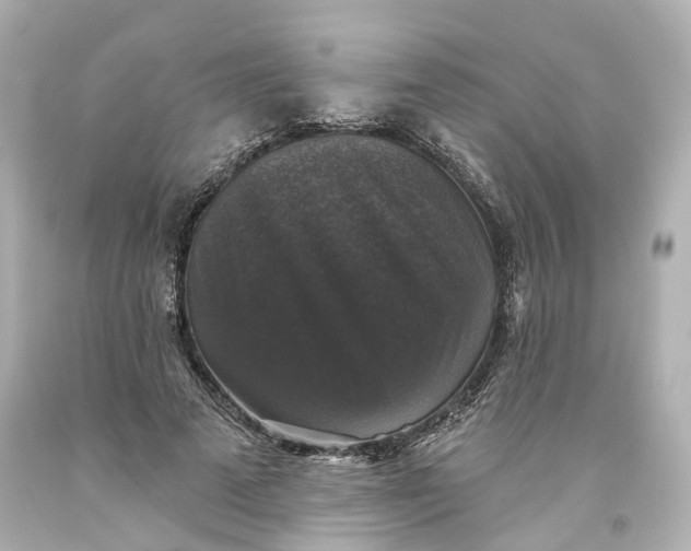 X0000093580689200710291101