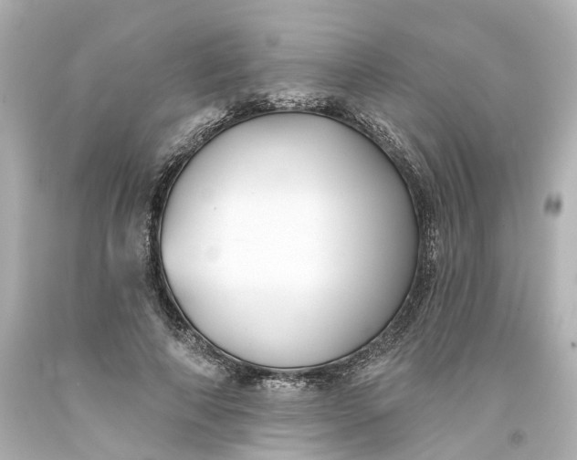 X0000093580690200710291101