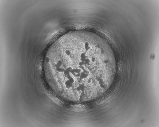 X0000093580691200710291101