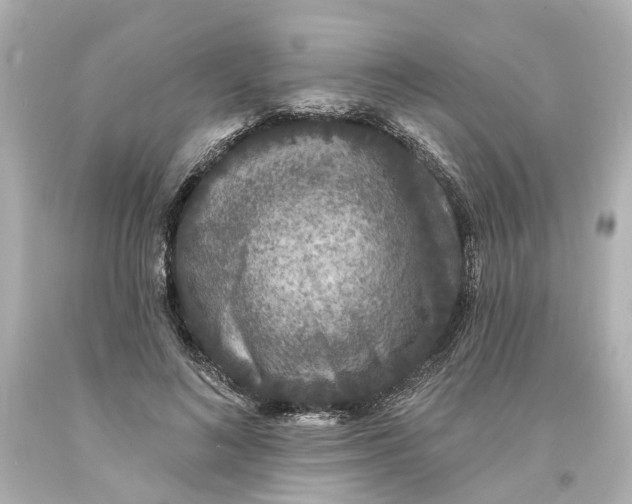 X0000093580692200710291101