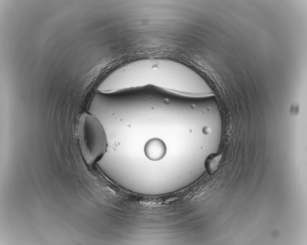 X0000093580693200710291101