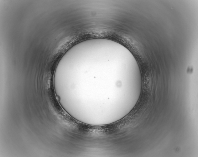 X0000093580694200710291101