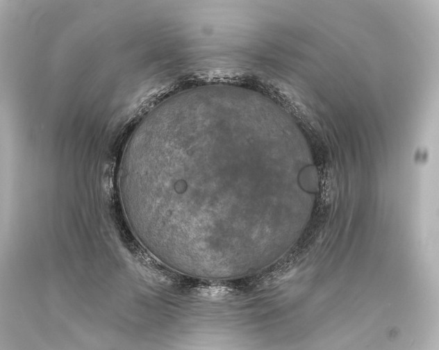 X0000093580695200710291101