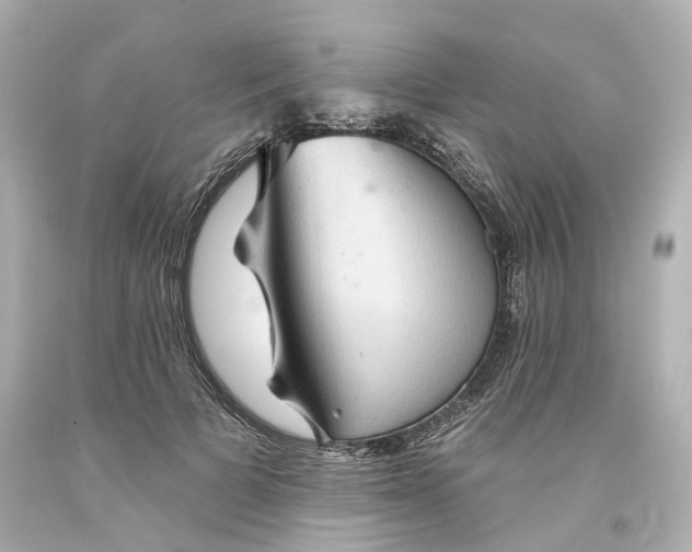 X0000093580697200710291101