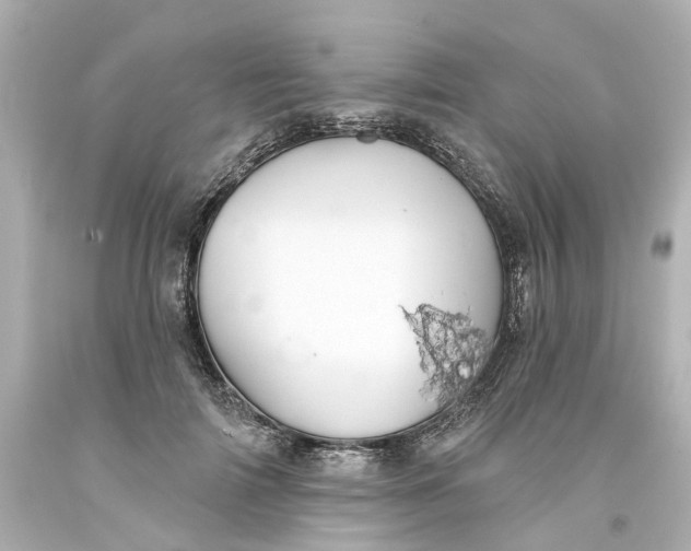 X0000093580698200710291101