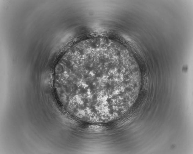 X0000093580699200710291101