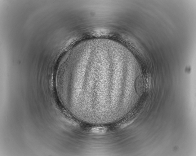 X0000093580700200710291101