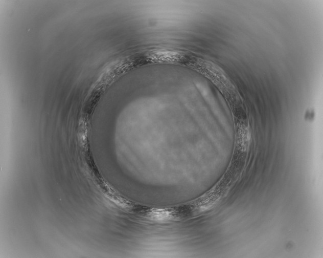 X0000093580701200710291101