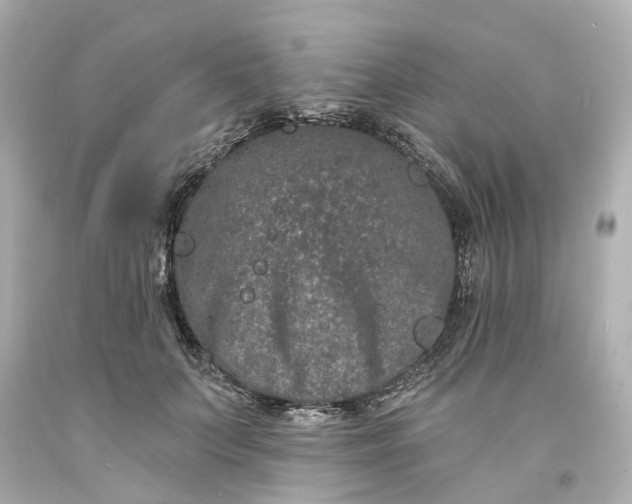 X0000093580703200710291101