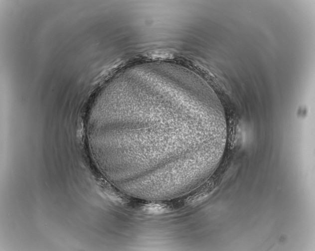 X0000093580704200710291101