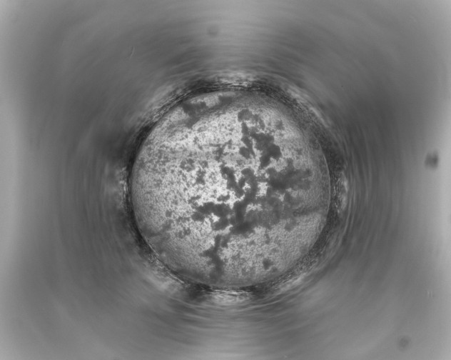 X0000093580707200710291101