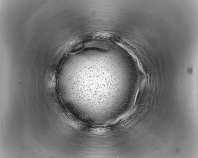 X0000093580708200710291101