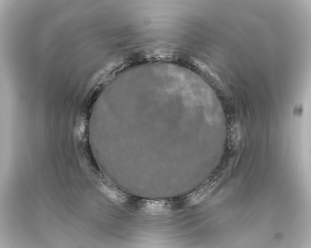 X0000093580709200710291101