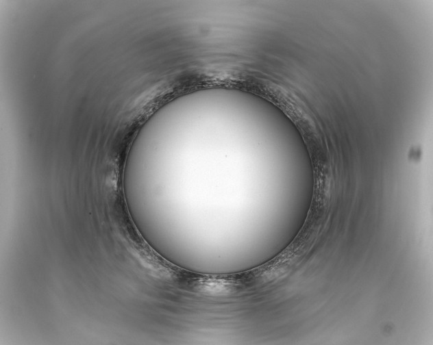 X0000093580710200710291101