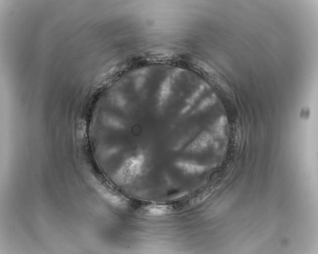 X0000093580711200710291101