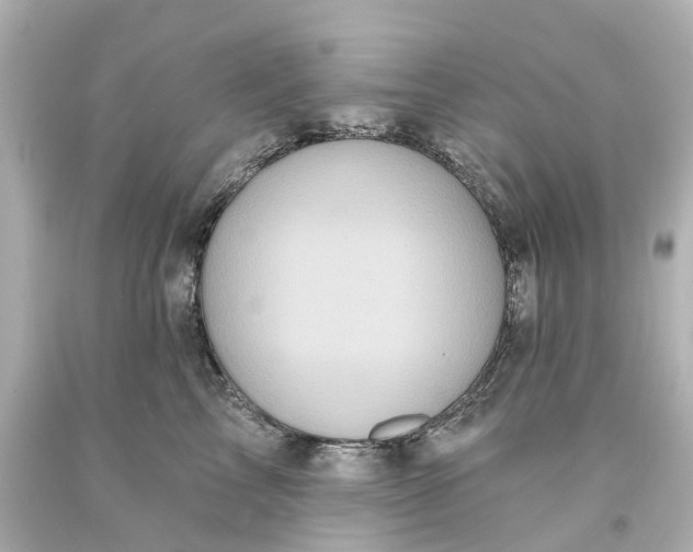 X0000093580713200710291101