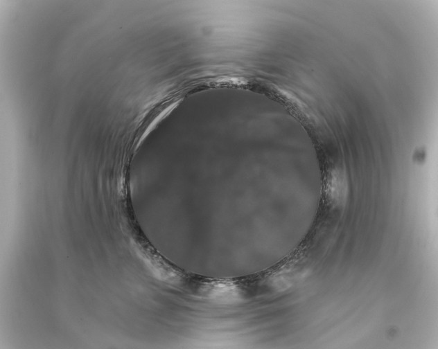 X0000093580715200710291101