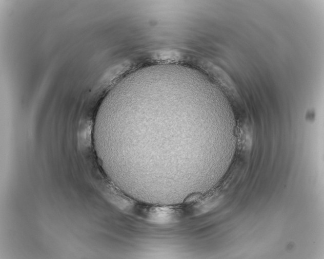 X0000093580717200710291101