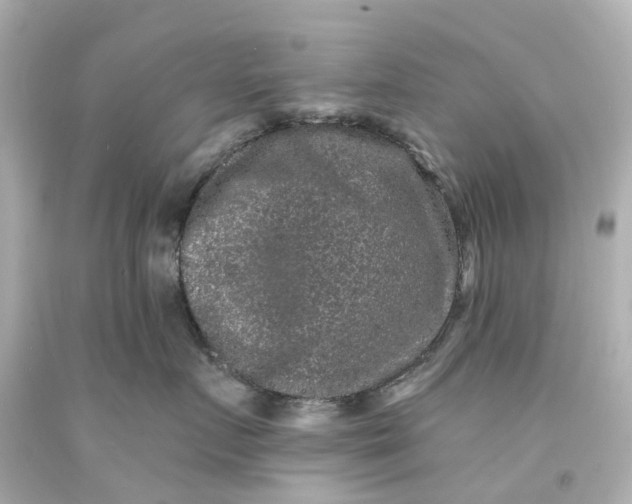 X0000093580719200710291101